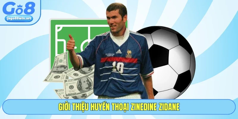 Tiểu Sử Zinedine Zidane - GO8 Tổng Hợp Thông Tin Cơ Bản 2 Giới thiệu huyền thoại Zinedine Zidane